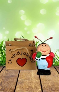 Ik vind jou lief! Ladybug in bag